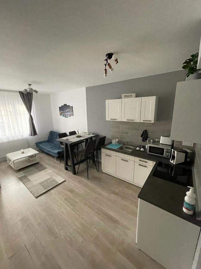 Phoenix Luxury Apartment Oradea Exteriér fotografie