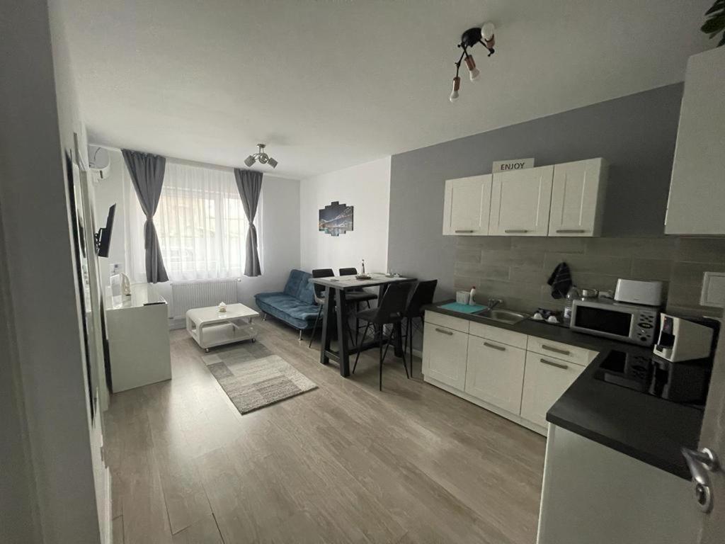Phoenix Luxury Apartment Oradea Exteriér fotografie